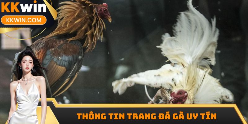 Thông tin trang đá gà uy tín